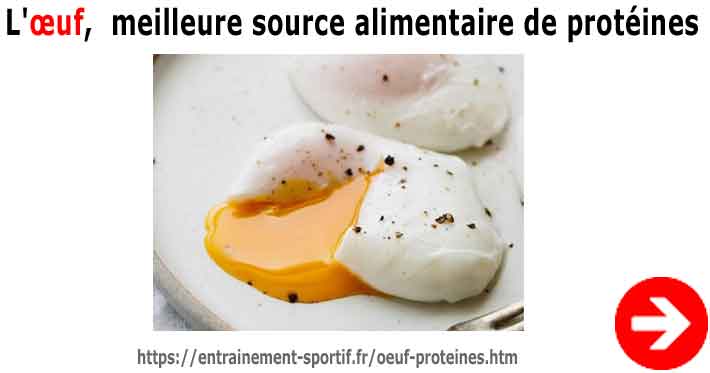 L'oeuf, meilleure source alimentaire de protéines pour le sport