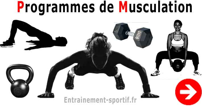 programme de musculation